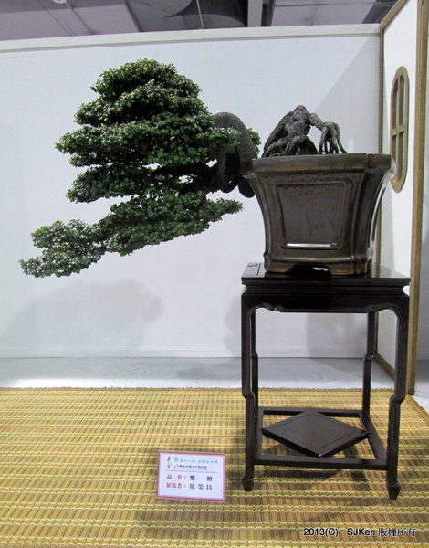 cm20131018___7522e8060319c50de0b1d322baf