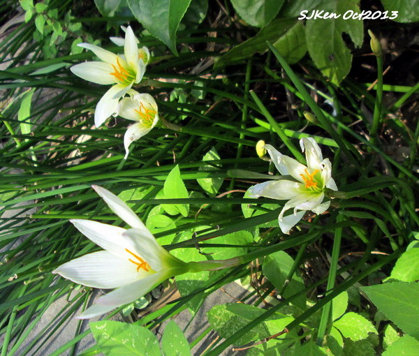 cm20131019___1561ec43083014bb1a2fc6f8d77