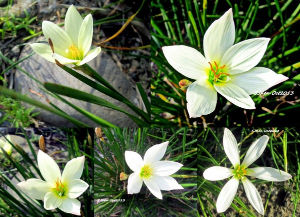 cm20131019___6f461c734187ddc73f1db60b1b8