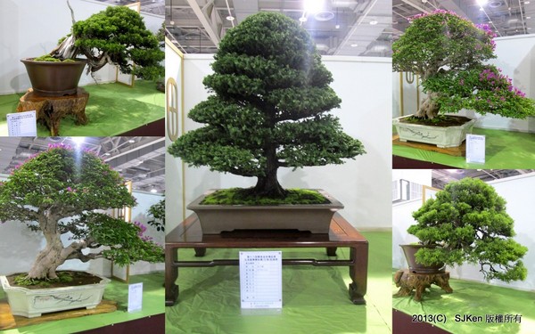 cm20131018___4fb2692e9dc359a7579bbca7409