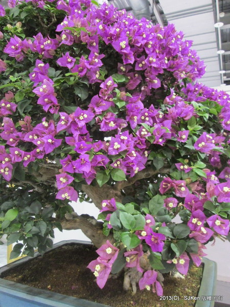 cm20131018___e94c1af658c738fef525982bca8