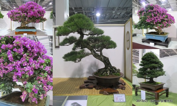 cm20131018___e25db7e25a23c52e3fb8f96a978