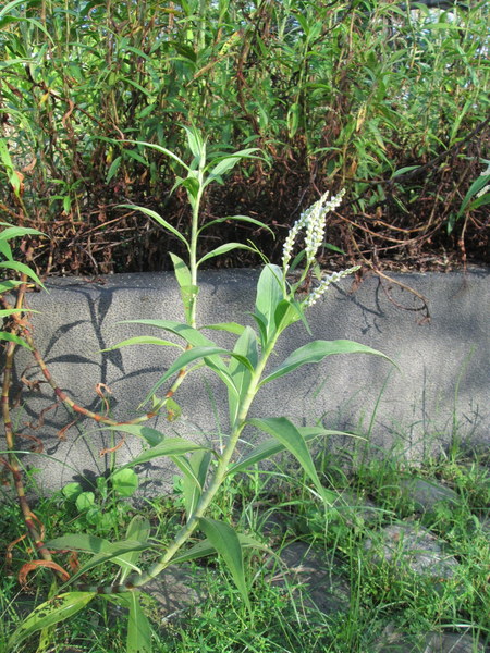 cm20131019___e7c788f4ef780b878cd8db048ac