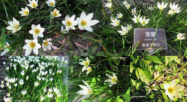 cm20131019___789c0f5eacf610b026fec130704