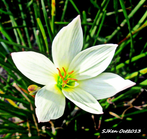 cm20131019___a3af98fb3f1d42e0525b8a664d3