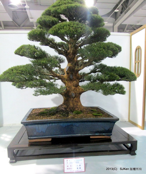 cm20131018___60c82eb47e2955424771f2d3cbf