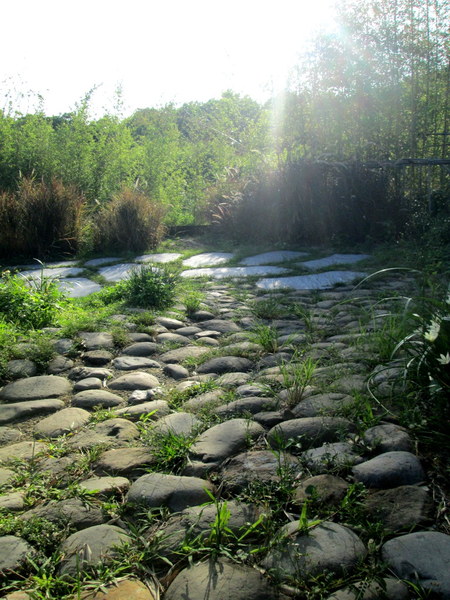 cm20131019___525145dc4387c91a194c4719853