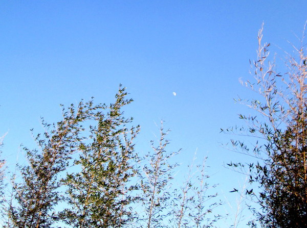 cm20131019___57502296f2ad5620eb1e62d8c90