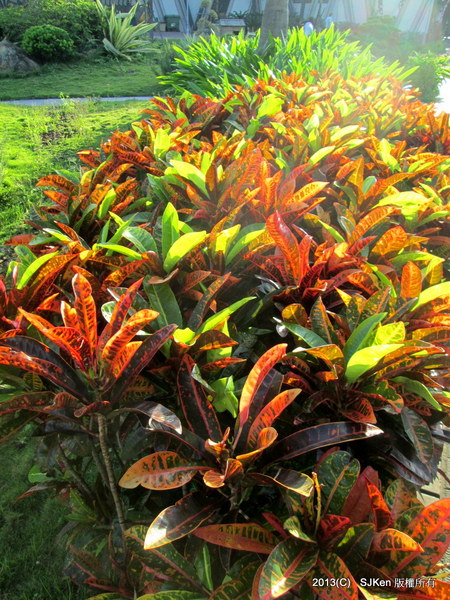 cm20131017___1e6c280d3709c5cfb1df3e3a194