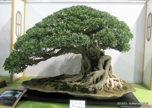 cm20131018___df4ca78d38189d450a58e4be79e