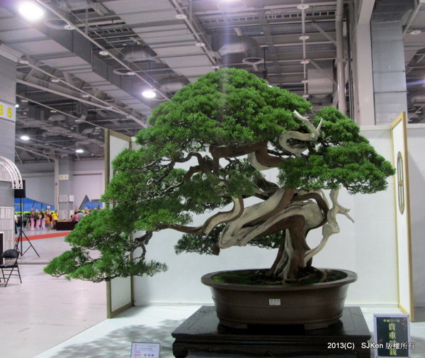 cm20131018___891b9a4cb63a9c2c7eb49df8e20