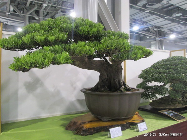 cm20131018___9612f6bca0b0f3f41bb31e79f86