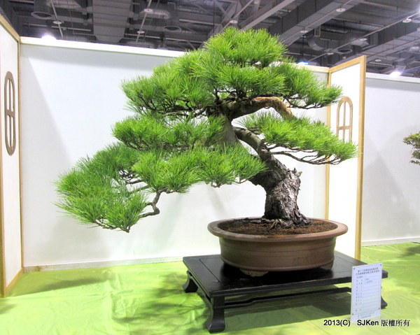 cm20131018___13ad7cbd2dffa7406c769f4441a