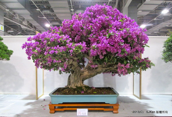 cm20131018___02cc5262f23ae9bcde14441ec23