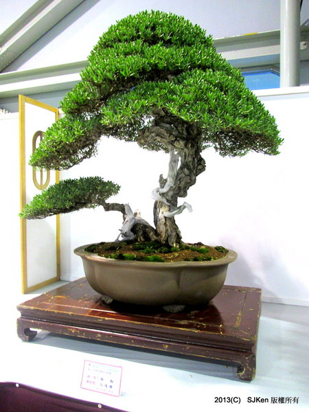 cm20131018___10de12defd1eb732273298bbb1d