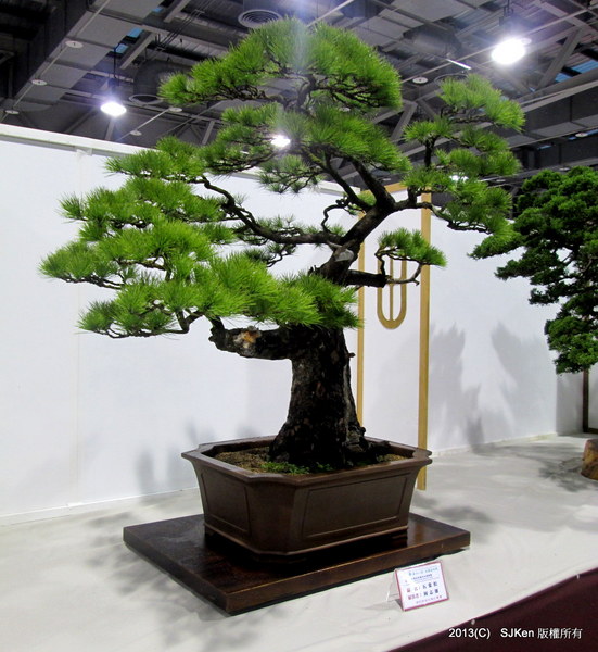 cm20131018___7d88c6aad40c5c80725a9fd19e0