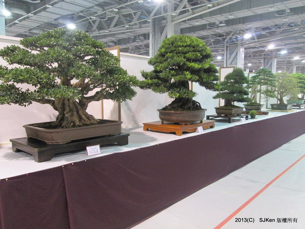 cm20131018___0a5d6b91542d5ef2c88a0cf2749