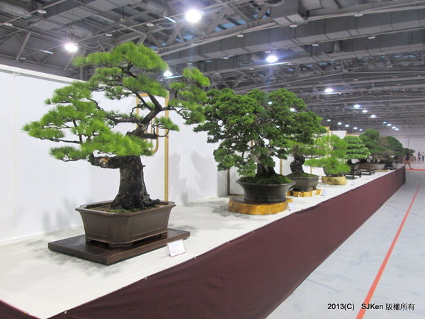 cm20131018___780ded9cbeac74a0d88ac752cf9