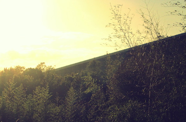 cm20131019___8b46aa32824a9b99c7294d2c6ea