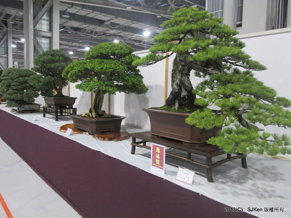 cm20131018___772197f9ffde0cea012c8b4cdaa