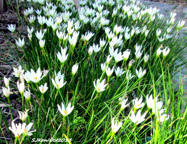 cm20131019___84b20f2c1560544a946a74b30bc