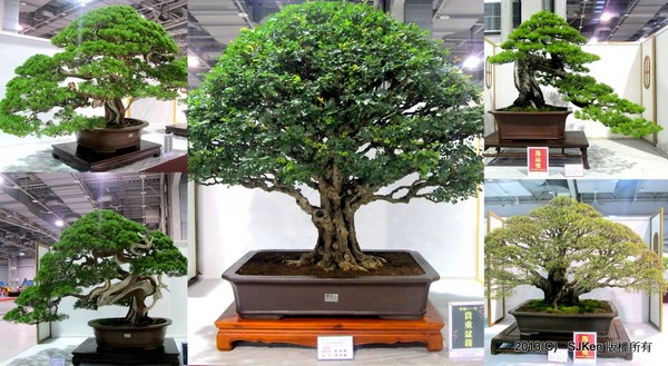 cm20131018___f4da727737624eeefa9a7367062