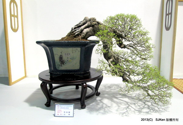 cm20131018___7bbecb6f857c747d01b88696f21