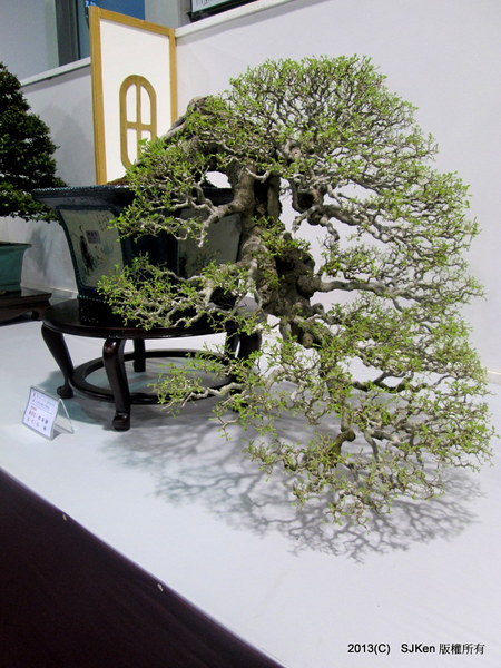 cm20131018___c94120aed4662dfcdfaba62fcb1