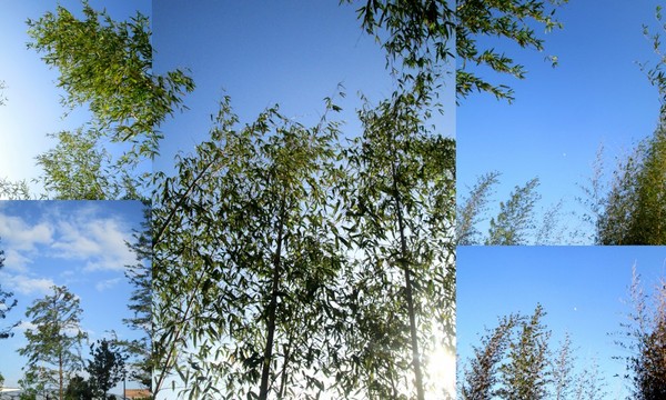 cm20131019___d8de3c9665a6f3c4d27a452483d