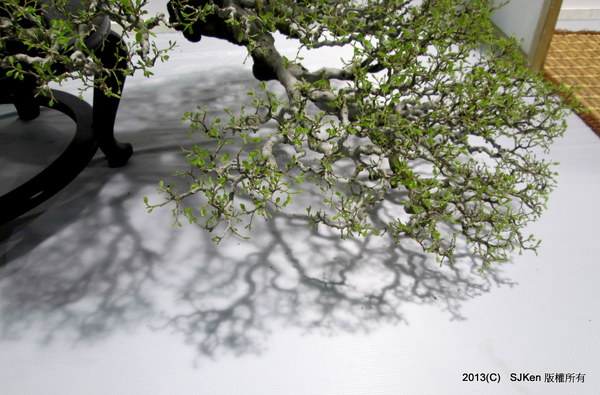 cm20131018___2a395fe5c10481e479eef56a9d2