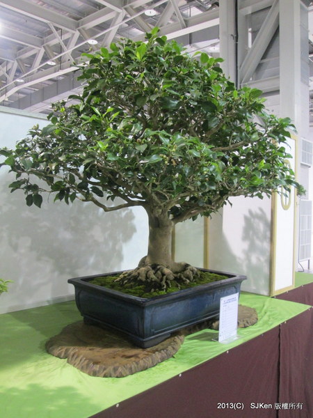 cm20131018___12f427c36fdf6147b9d35239b18