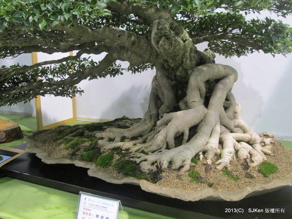 cm20131018___bb35ef95a63bfcd25b96aee37cb