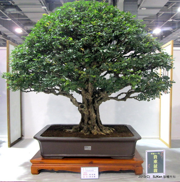 cm20131018___e440bc7287340519386536fd08d