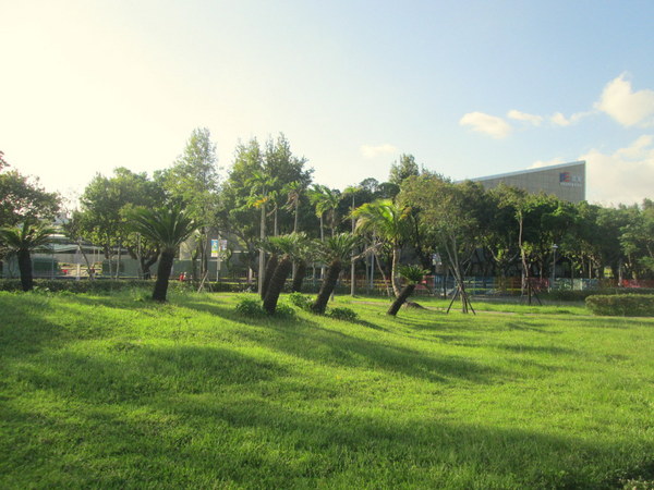 cm20131019___98848430f855cf0c2e4c9693056