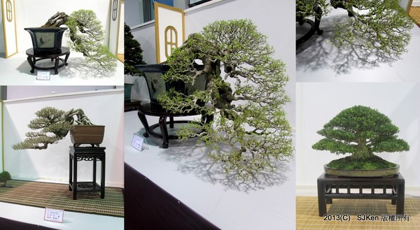 cm20131018___6fc8dcf0c7ebf77a2b222d1d2dd