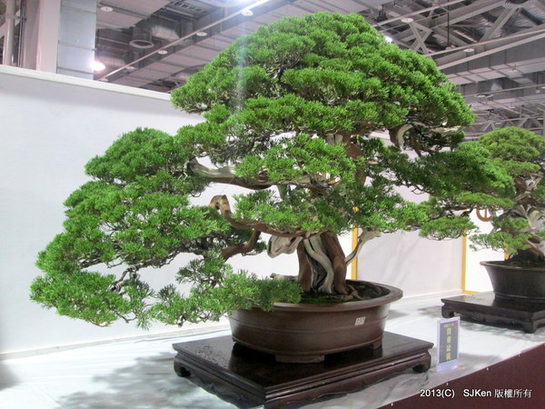 cm20131018___430742b4ff76aec54343af8bb4a