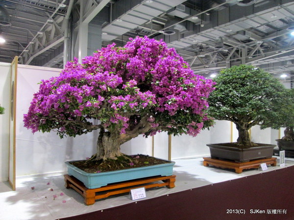 cm20131018___5a1238410a59e40402ac1c15be0