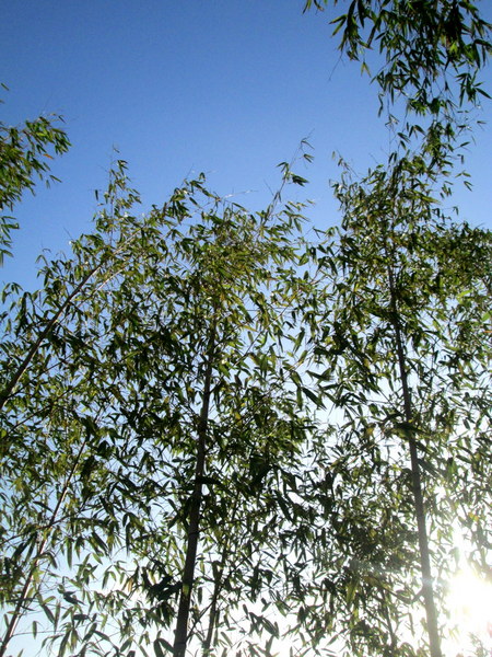 cm20131019___898cb1561b04dd3d4af9680b2a8