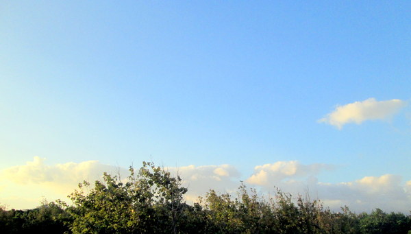 cm20131019___44c94dcd75a55eaa76adaf3dc39