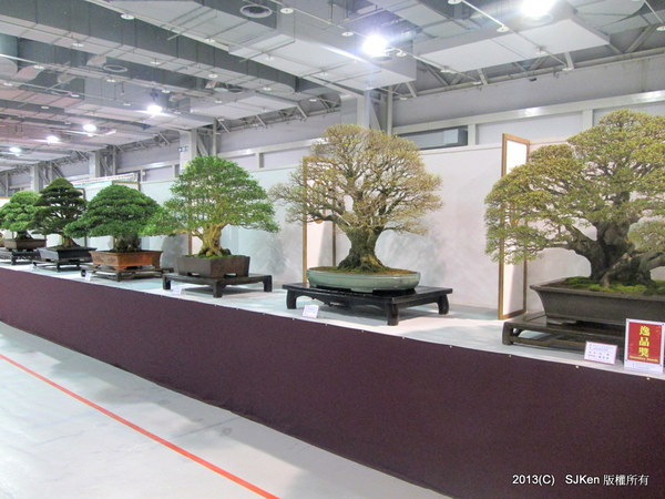 cm20131018___c6f7244c735ae12a6eeb5e8e7ad