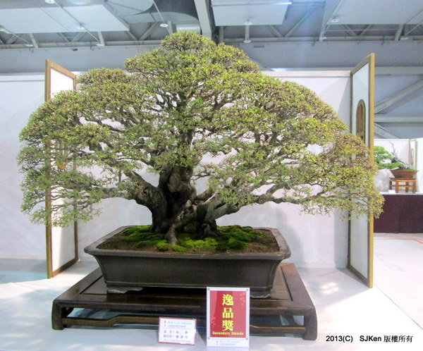 cm20131018___a54a8a147ea37b09d6e2d0fff21