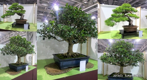 cm20131018___4818c335be8a52c9b8e7b0d2753