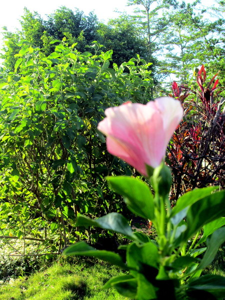 cm20131019___393ab618a12ab5dd10b3bd784df