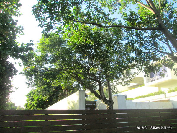 cm20131017___4f53710800a7fffb9f57ce9dd75