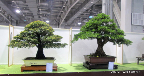 cm20131018___73a8b039764e4cbb09aacbcde41