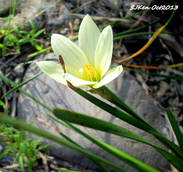 cm20131019___adac649b849fe7b84682769ab6f