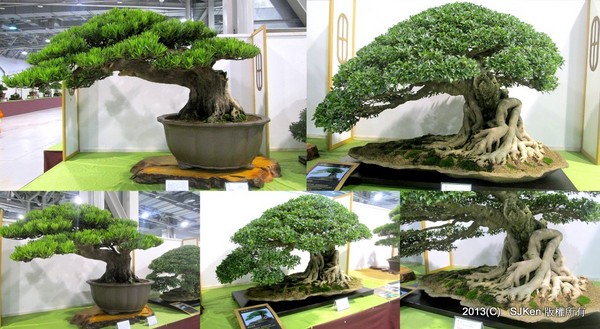 cm20131018___2bf1e61a5221ff7f1f3aba1faaf