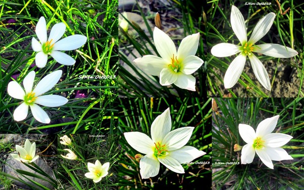 cm20131019___f3210ace76a5f29e7987256d656