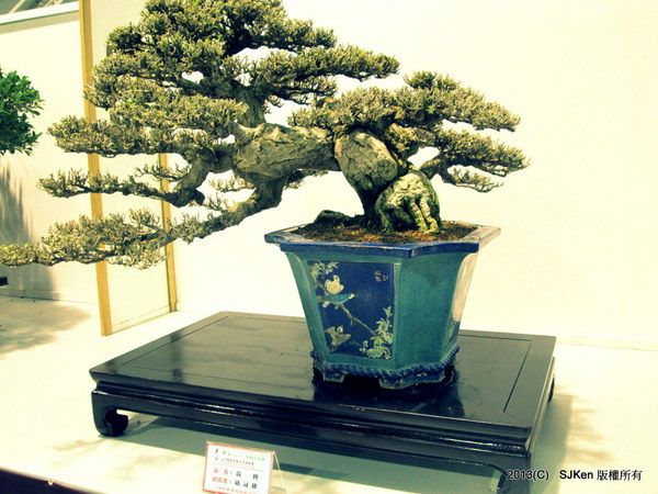 cm20131018___8bd11f0f18a54beb30528504955