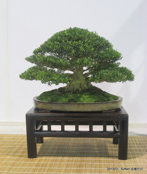 cm20131018___4699902a5667dd7bba5fdb5d6bd